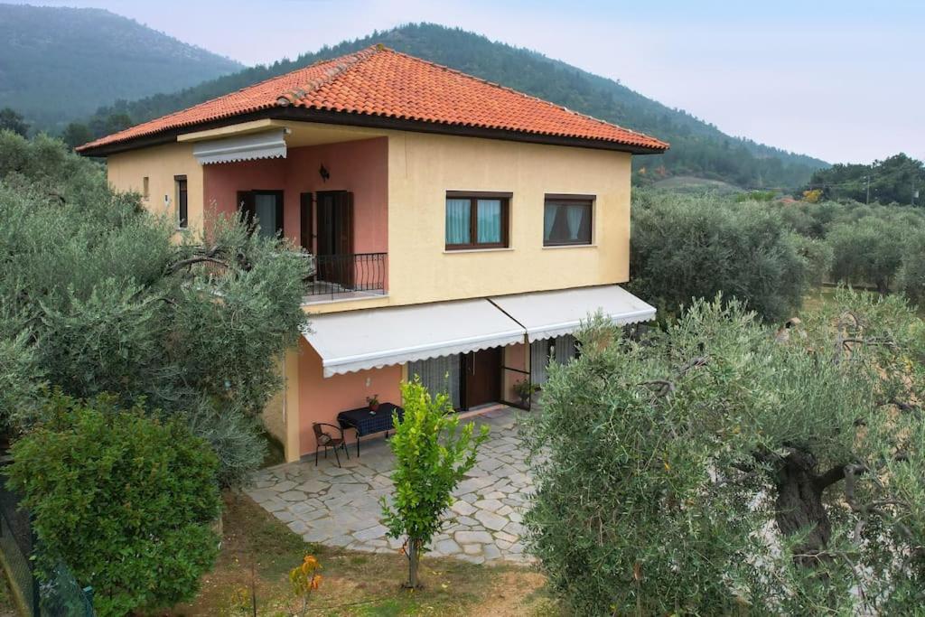 Вілла Olive'S House Skala Rachoni  Екстер'єр фото