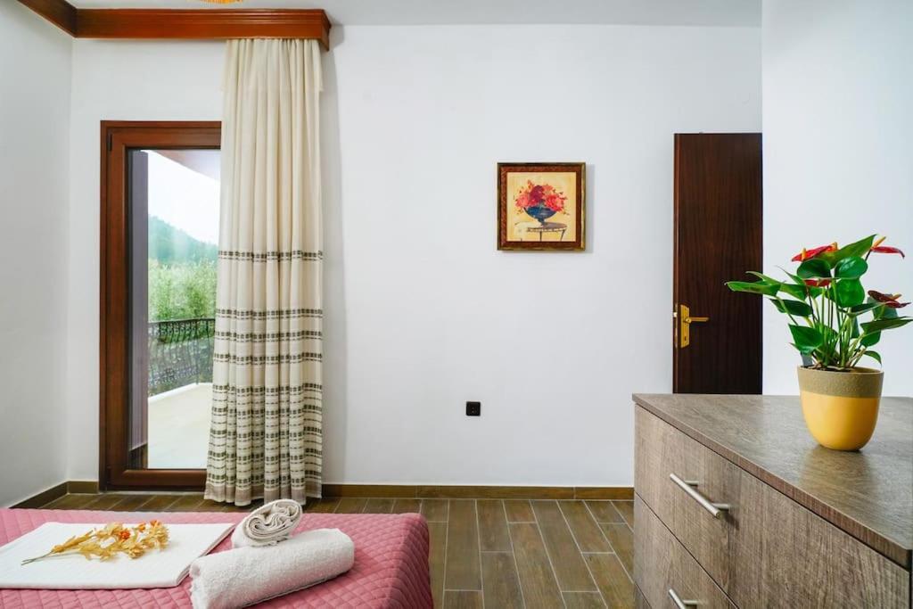 Вілла Olive'S House Skala Rachoni  Екстер'єр фото