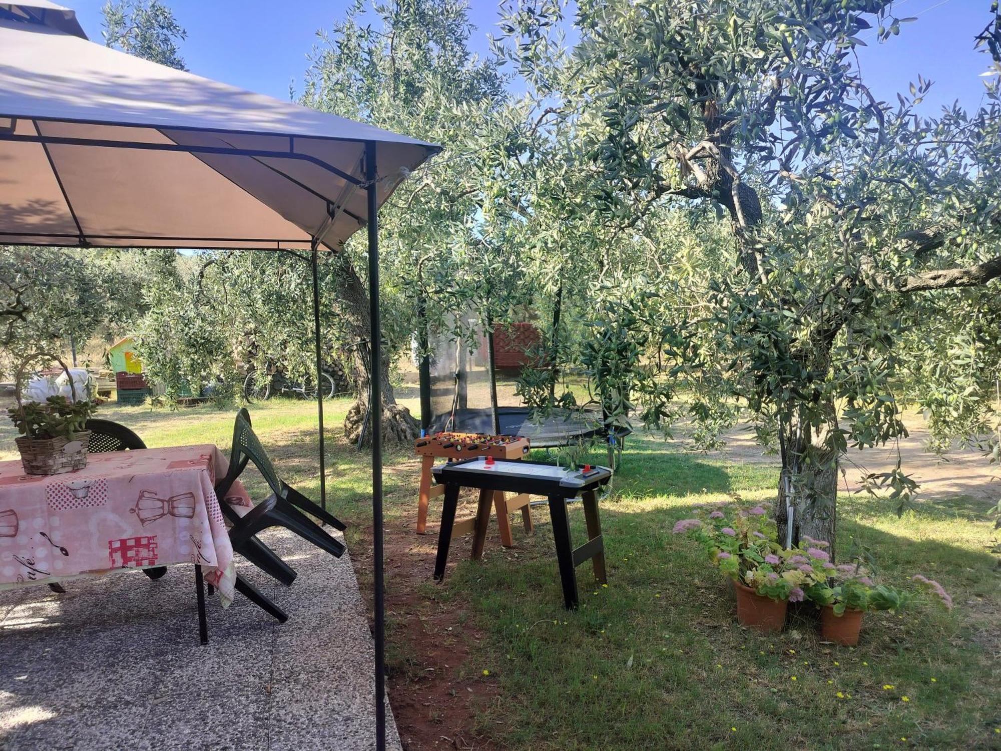 Вілла Olive'S House Skala Rachoni  Екстер'єр фото